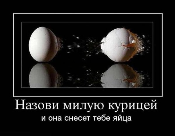 Демотиваторы про яйца