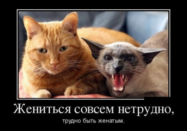 Демотиваторы о хорошем