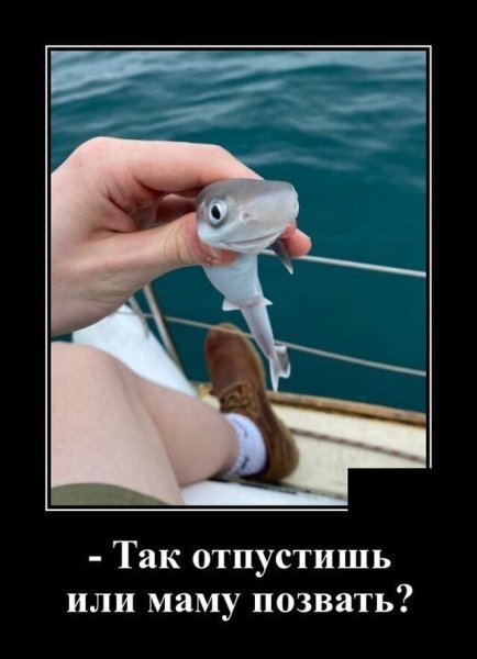 Смешные демотиваторы с надписями