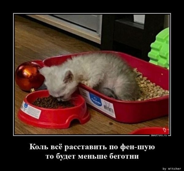 Демотиваторы новые