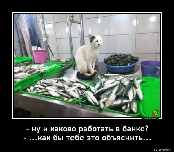 Демотиваторы сказочные