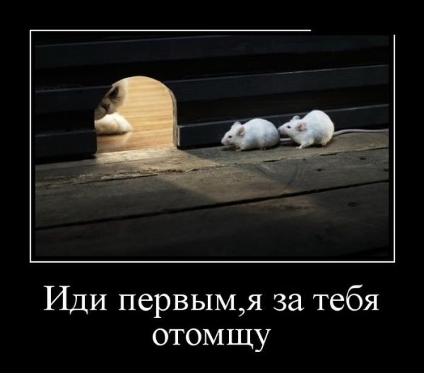 Прикольные демотиваторы