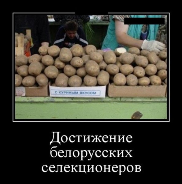 БУГАГА приколы демотиваторы