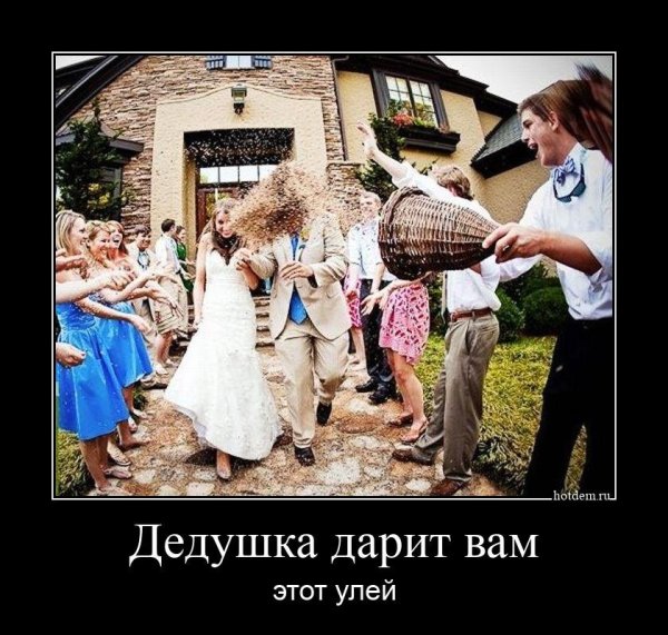 Демотиваторы смешные