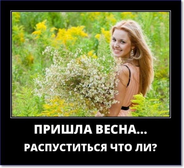 Демотиваторы Триникси смешные