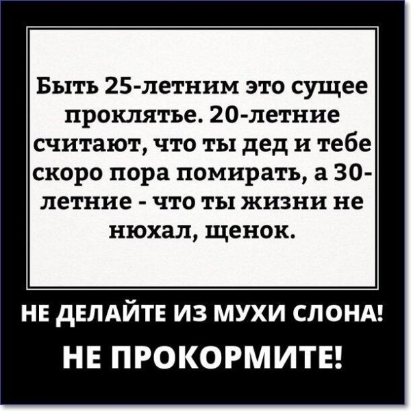 Триникси мемы
