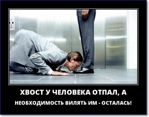 Демотиваторы Триникси смешные