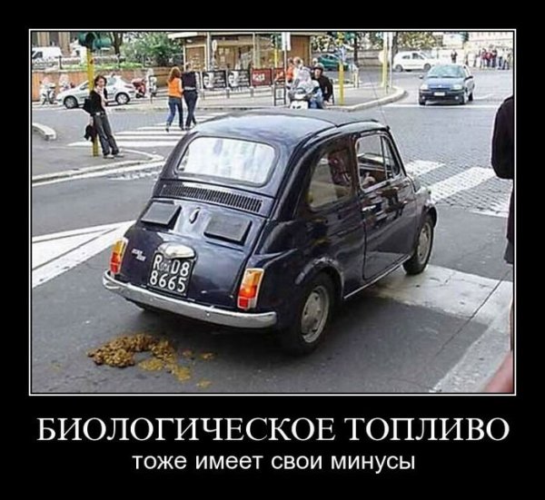 Демотиваторы авто