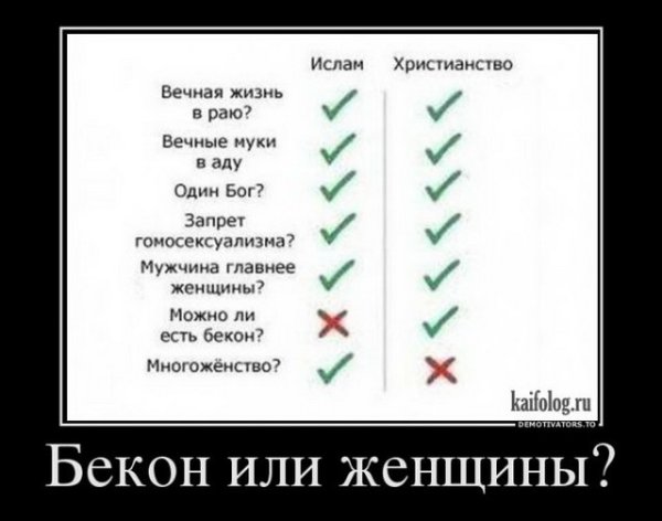 Кайфолог демотиваторы Веселые