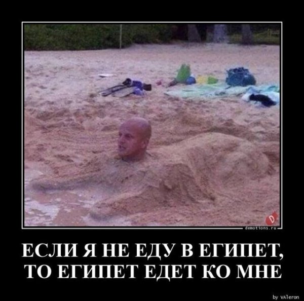 Обо мне цитаты смешные