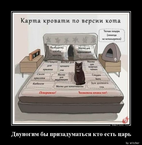 Демотиваторы смешные