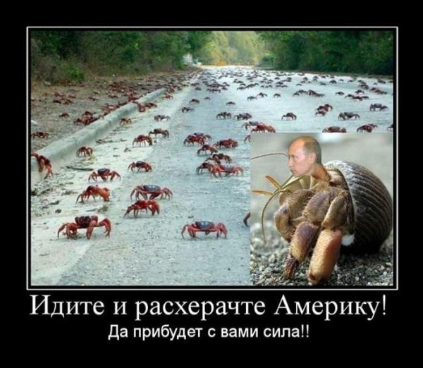 Мемы про отцовство