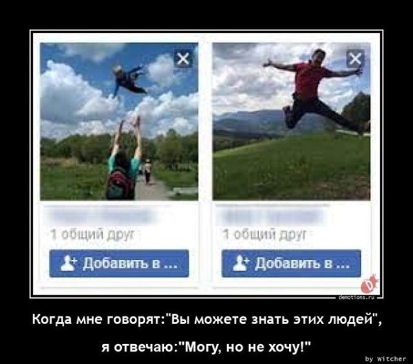 Голубь демотиватор