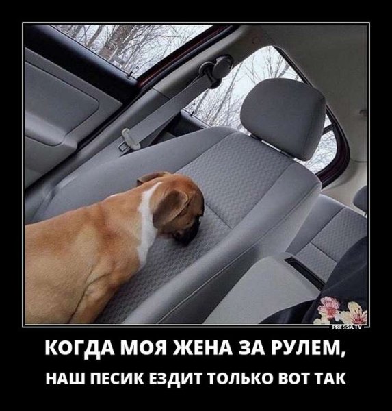 Тамбов демотиватор