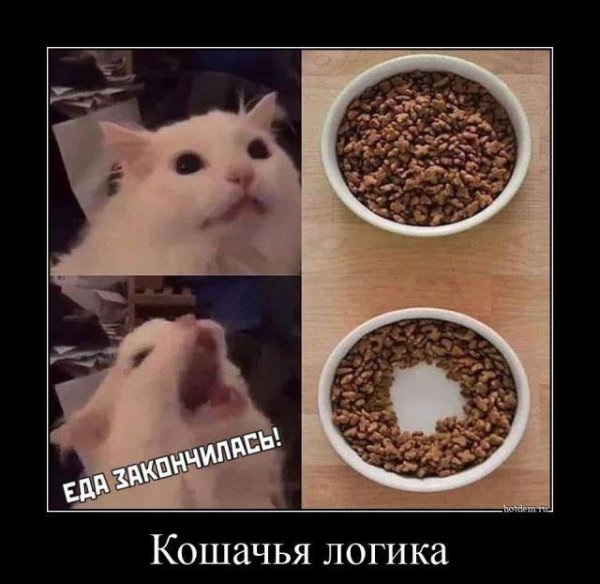 Демотиваторы виагра