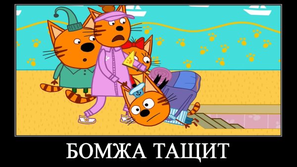 Три кота демотиватор