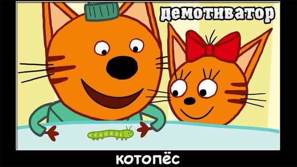 Муд три кота демотиватор