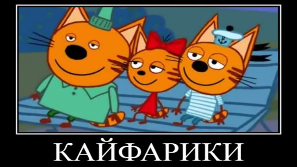 Три кота