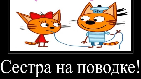 Муд три кота демотиватор