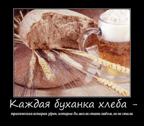 Хлеб прикол