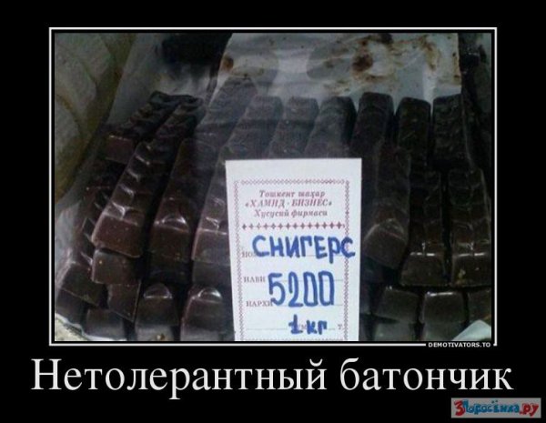 Нетолерантный прикол