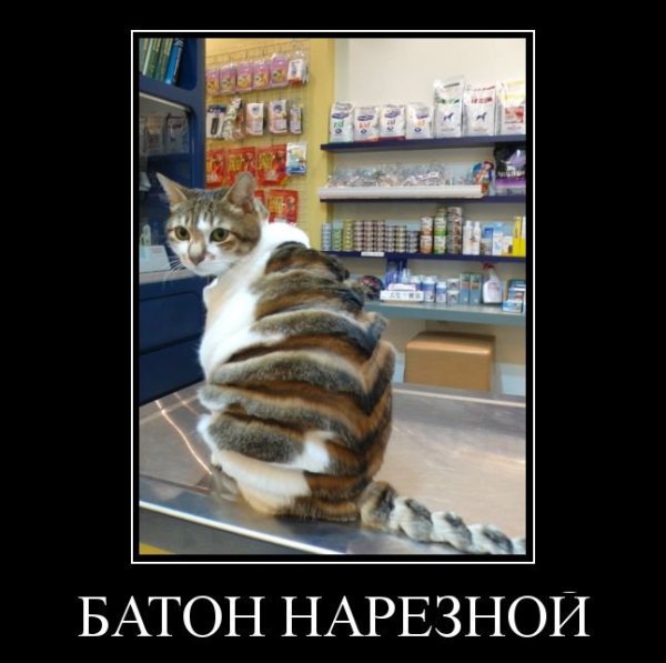 Злой батон