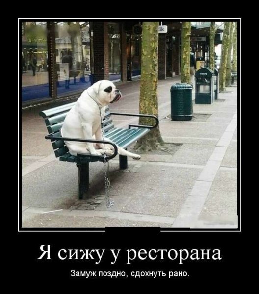 Батон прикол