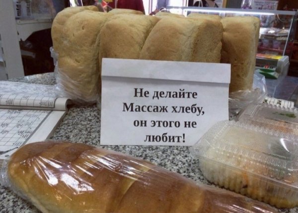 Демотиваторы про лошадей