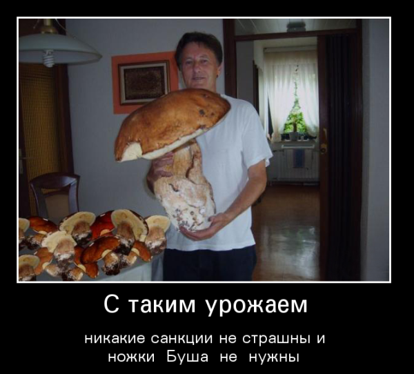 Грибочки прикол