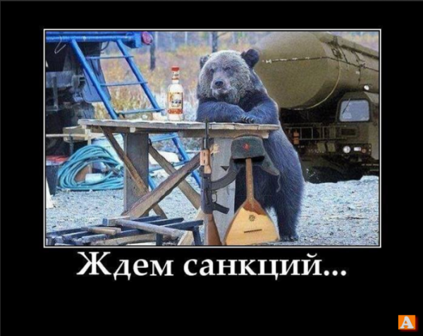 Ждем санкций медведь