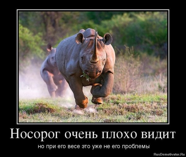 Фотоприколы и демотиваторы