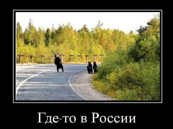 Демотиваторы смешные