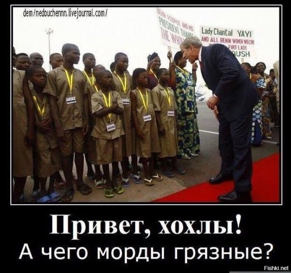 Демотиваторы про негров