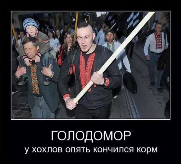 Хохлы демотиваторы