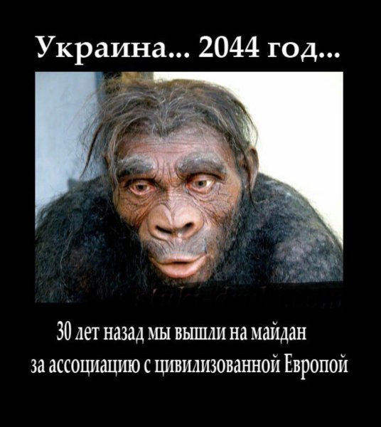 Хохлы обезьяны