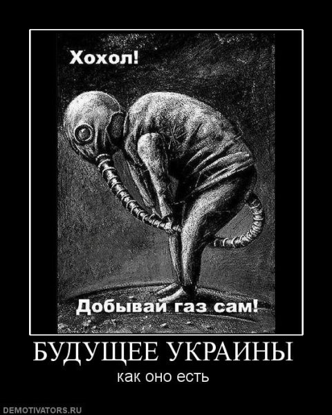 Хохлы демотиваторы