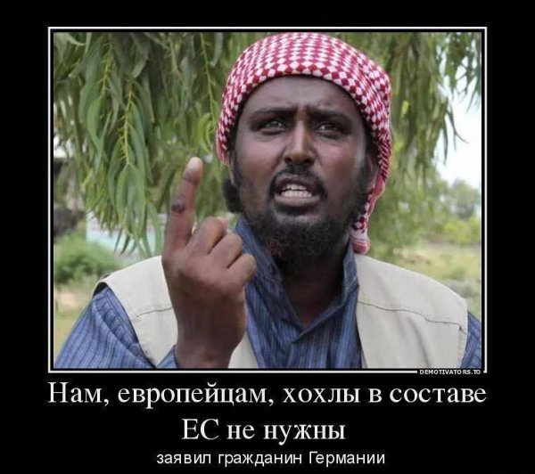 Демотиваторы про арабов
