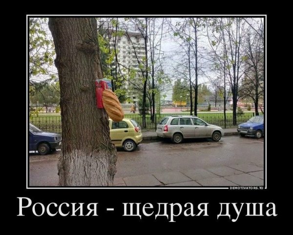 Приколы про Россию