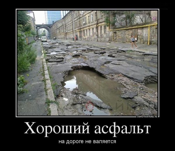 Утки России