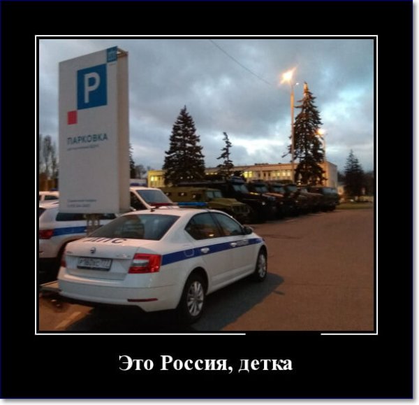 Демотиваторы про дороги смешные