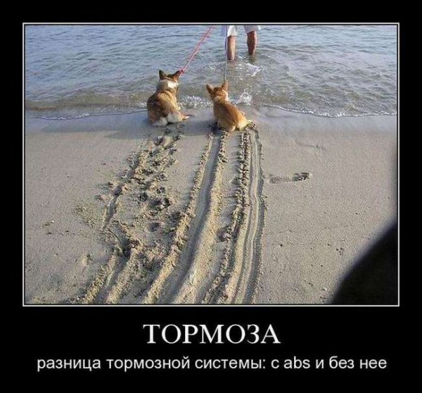 Демотиваторы самые известные