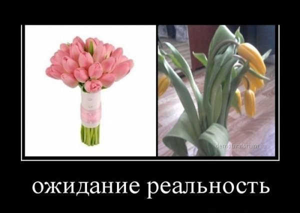 С 8 марта ружье