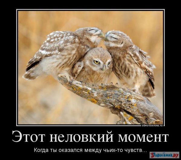 Демотиваторы юмор