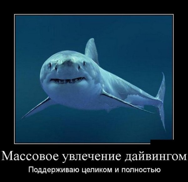 Лучшие демотиваторы