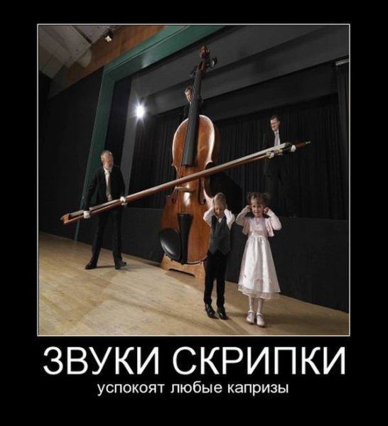 Скрипка демотиватор