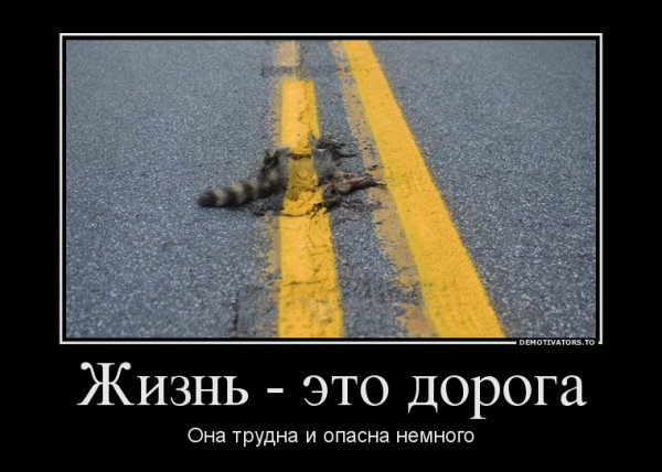 Демотиваторы про дорогу