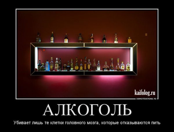 Демотиваторы про алкоголь