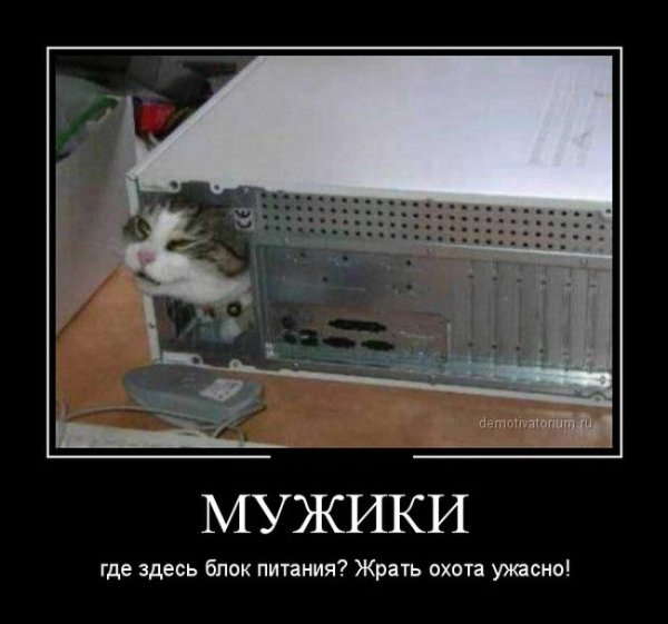 Жрать охота приколы