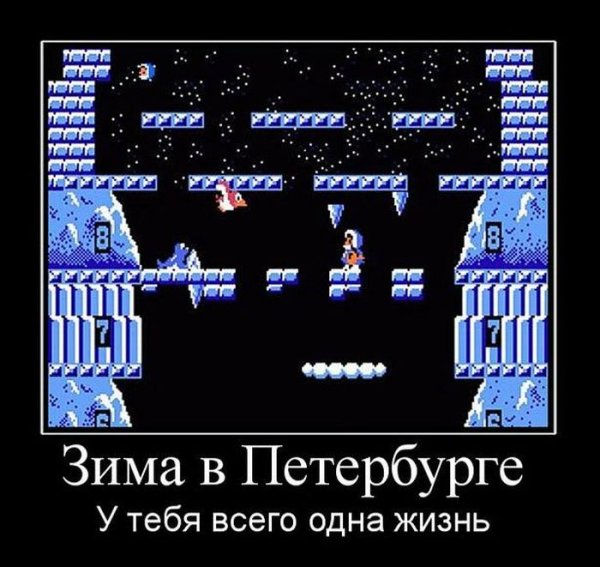 Питерские демотиваторы