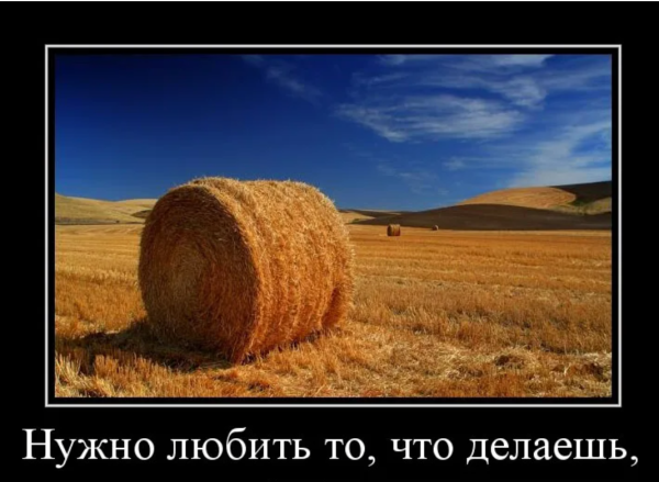 Приколы про работу